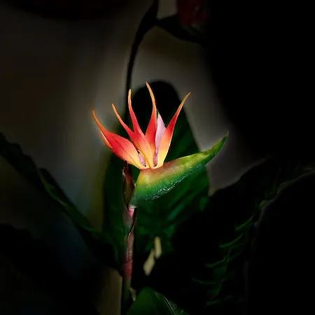 La Balinaise, Vue Et Dunes - Malo'cation * ダンケルク