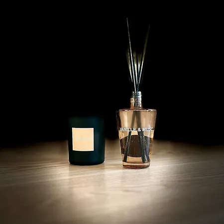 La Balinaise, Vue Et Dunes - Malo'cation Daire