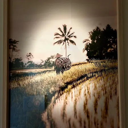 La Balinaise, Vue Et Dunes - Malo'cation Apartment *