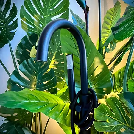 Apartment La Balinaise, Vue Et Dunes - Malo'cation